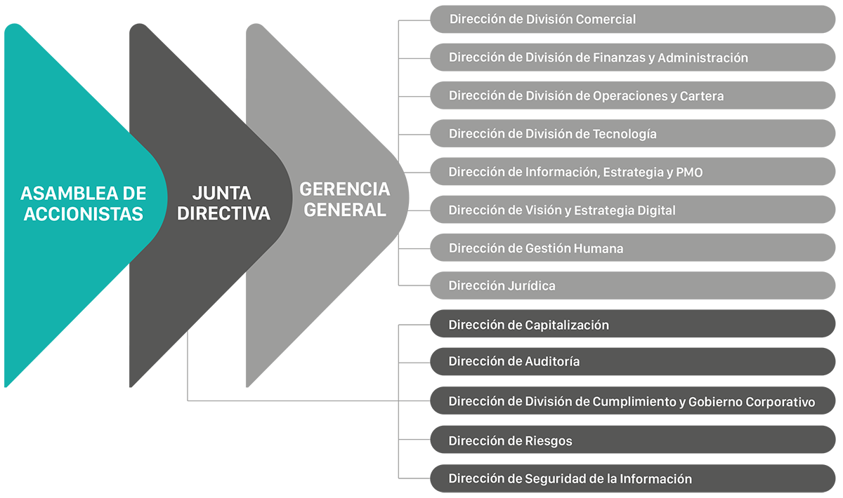 Estructura-Organizacional
